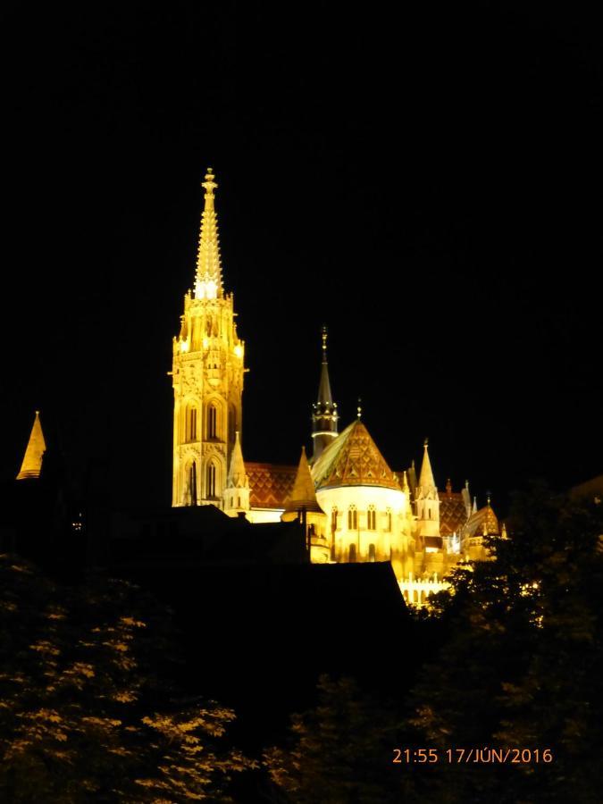 Elegant Apartment With Buda Castle View Budapest Kültér fotó